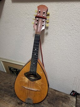 Mandolína - 2
