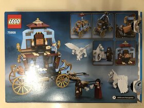 LEGO® Harry Potter™ 75958 Kočiar z Beauxbatonsu - 2