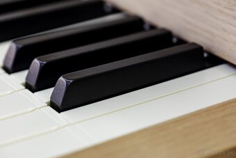 predám digitálny organ Viscount Domus S4 - 2