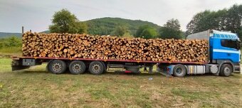 Predaj čerstvého palivového dreva - 2