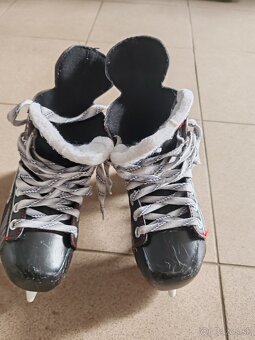 Predam korcule detske bauer 32 - 2