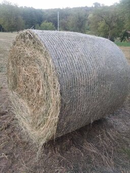 Predám balíky sena - 2