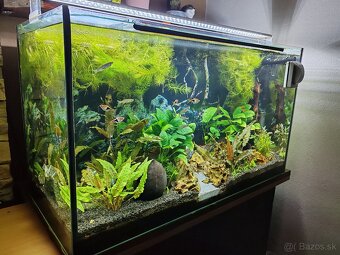 Akva 126l, svetlo, filter - 2