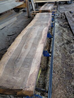 Orechové forsne a dosky - 2