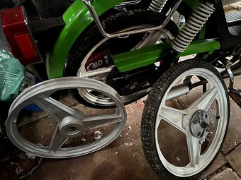 3ks Disky Bernardi Babetta/Korádo - 2