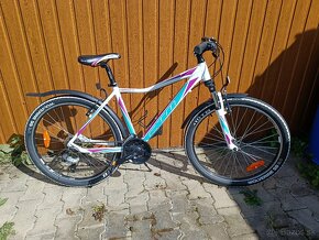 Dievčenský bicykel Charisma 1.0 - 2