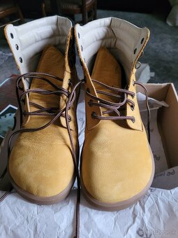 BeLenka Nevada Mustard - 2