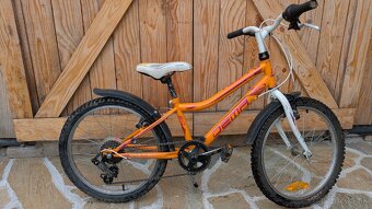 Bicykel Dema Vega - 2