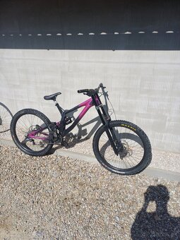 Kellys noid 90 2019 - 2