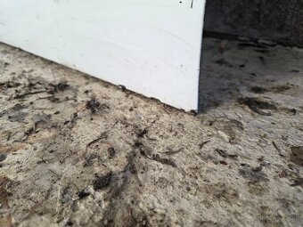 Golf 3 dvere ,kufor,kapota - 2