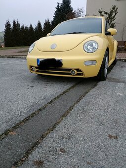 Beetle - 2