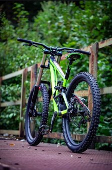 Scott gambler - 2