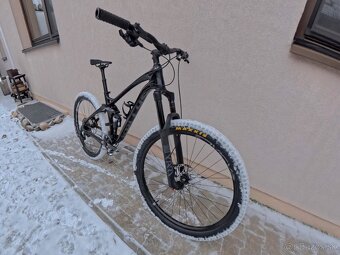 Kellys Slanger mullet - 2