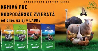 𝐊𝐫𝐦𝐢𝐯𝐚́ - 𝐄𝐍𝐄𝐑𝐆𝐘𝐒 - 2