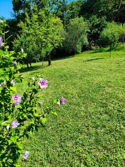 Záhrada v obci Bystré - majiteľ - 2