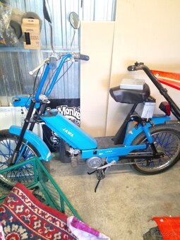 Predam babetta 207 - 2