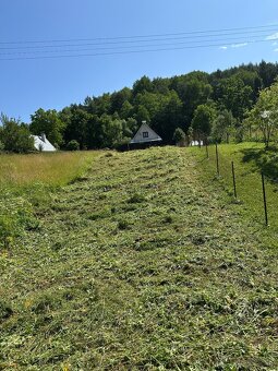 Kosenie pozemkov – vysoká tráva, náletové dreviny, pravideln - 2