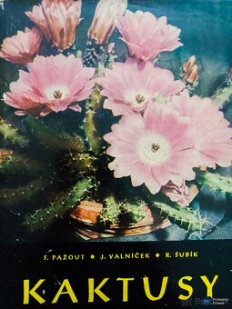 Knihy Kaktusy, Pěstování kaktusů po 99 Kč (5 €) / ks - 2