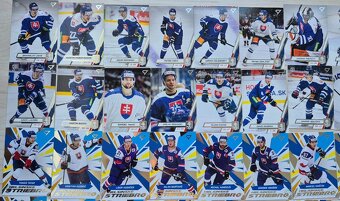 Hokejové kartičky slovenská repre 2023/2024 - 2