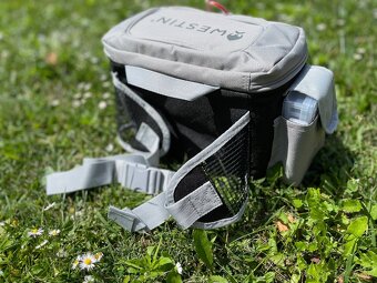 Prívlačová ľadvinka - 2