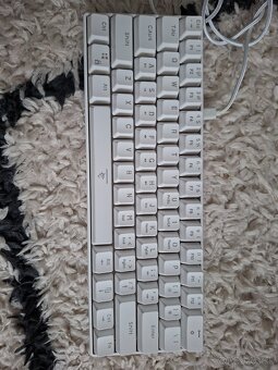 White Shark Sinobi GK-2022 - 2