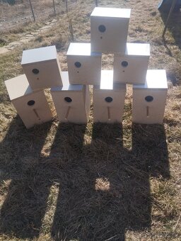 Hniezdiaca búdky - 2