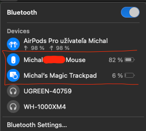 Apple Trackpad + Apple Magic Mouse 2 - 2