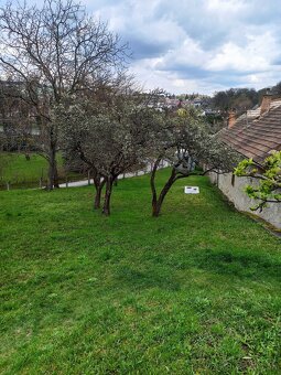 Pozemok, záhrada 800 m2 Veľký Krtíš - 2