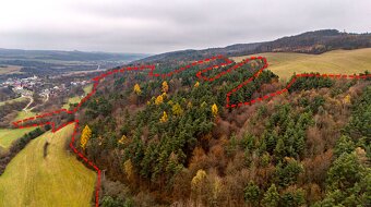 Rokycany – 250.000 m2 LESNÝ REKREAČNÝ POZEMOK v 1/1 pri PO - 2