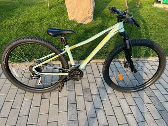 Specialized pitch 27,5 - 2