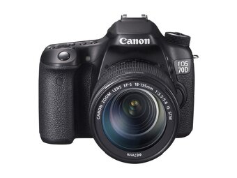 Canon 70D + Canon EF-S 18-135mm f/3.5-5.6 IS USM - 2