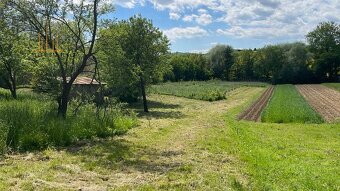 POZEMKY v obci LÚČKA, okr. Svidník 1050m2 - 2