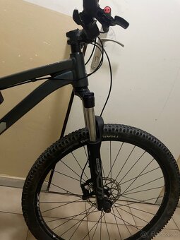 Bic.ctm zephyr 29 - 2