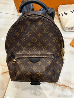 Louis Vuitton palm springs PM - 2