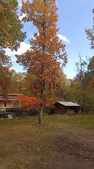 NA PREDAJ STAVEBNÝ POZEMOK V POHRANIČNEJ LOKALITE ČESKA A RA - 2