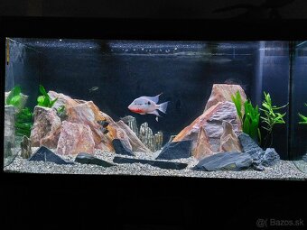 JUWEL RIO 350 LED - 2