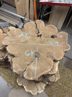 Vysušené agátové koláče / priečne rezy, agát - 2