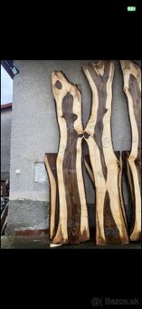 Orech Orechove fošne - 2