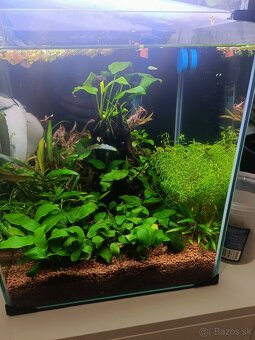 Nano akvárium 30l s príslušenstvom - 2