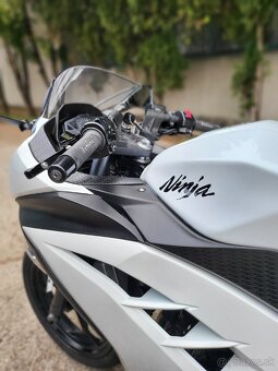 Kawasaki ninja 300, A2 - 2