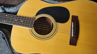Gitara Mitchell. s puzdrom - 2