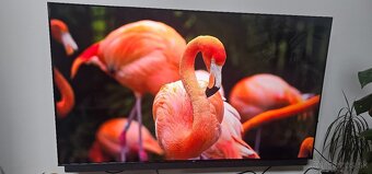 Qled TCL 75C815  75" 189cm - 2