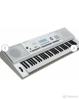 Kurzweil KP110 - 2