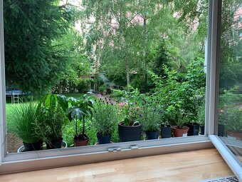 3i byt grosslingova - 2