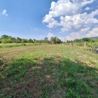 Predaj rekreačného pozemku - Rybník/Levice - 2