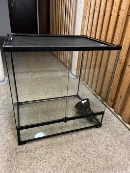 Predám Terarium - 2
