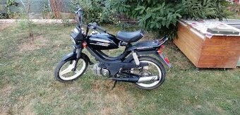 Manet korado "cafe racer - 2