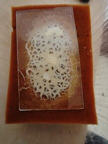 Grindal, Mikri, Izya worms - Živé krmivo - 2