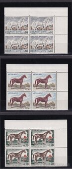 Monako - koníky v štvorblokoch - 2