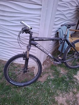 Specialized - 2
